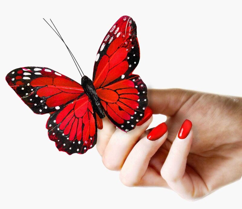 Red Butterfly on Hand — Calm, Photograph