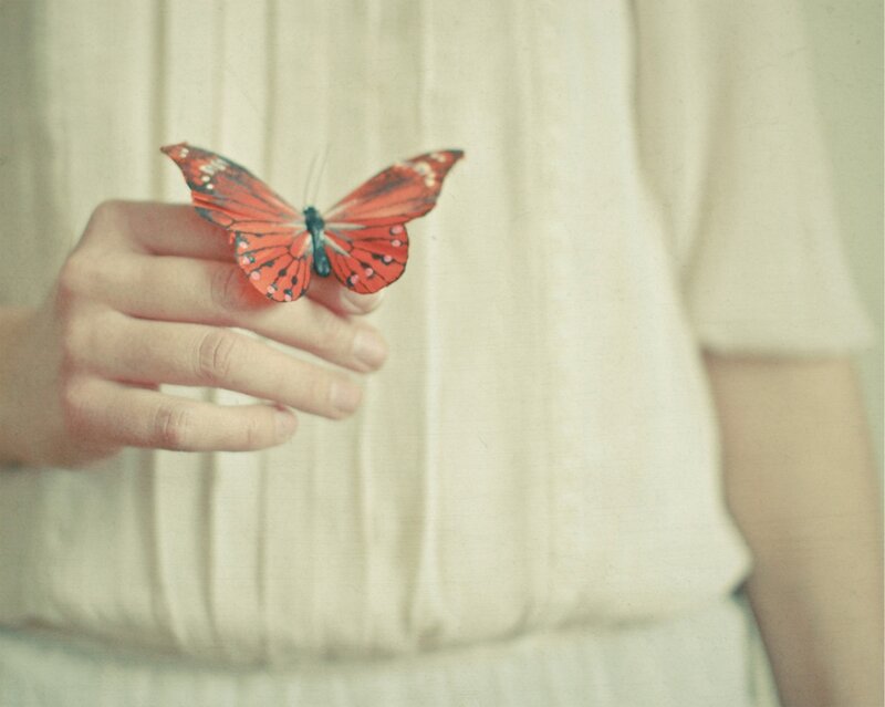 Red Butterfly on Hand — Calm