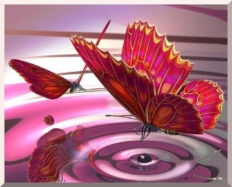 Red butterfly over water