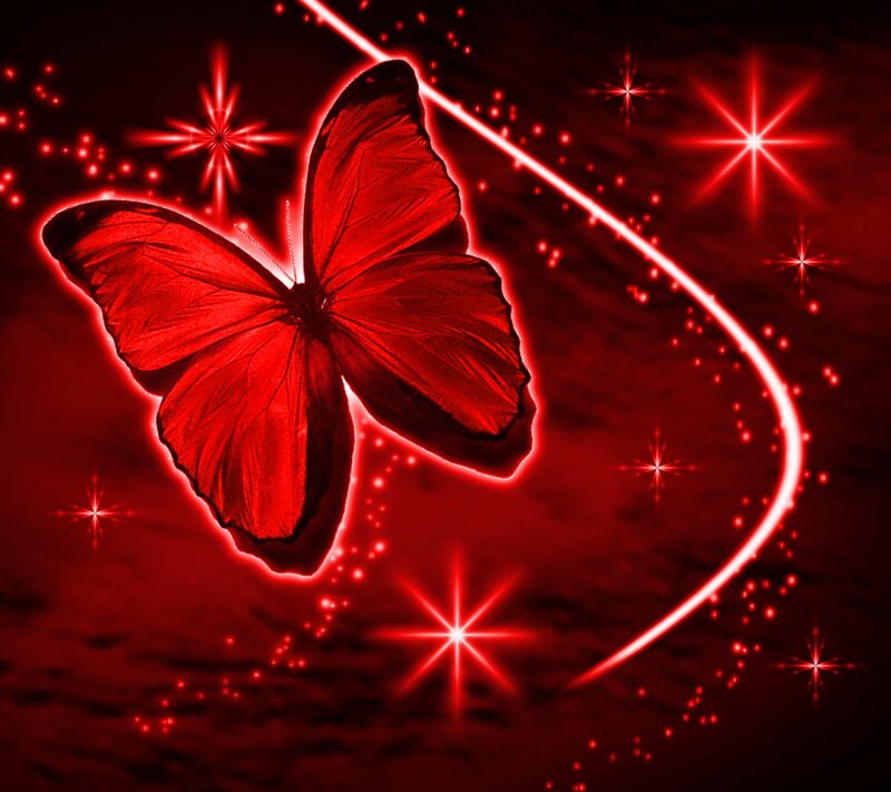 Red Butterfly