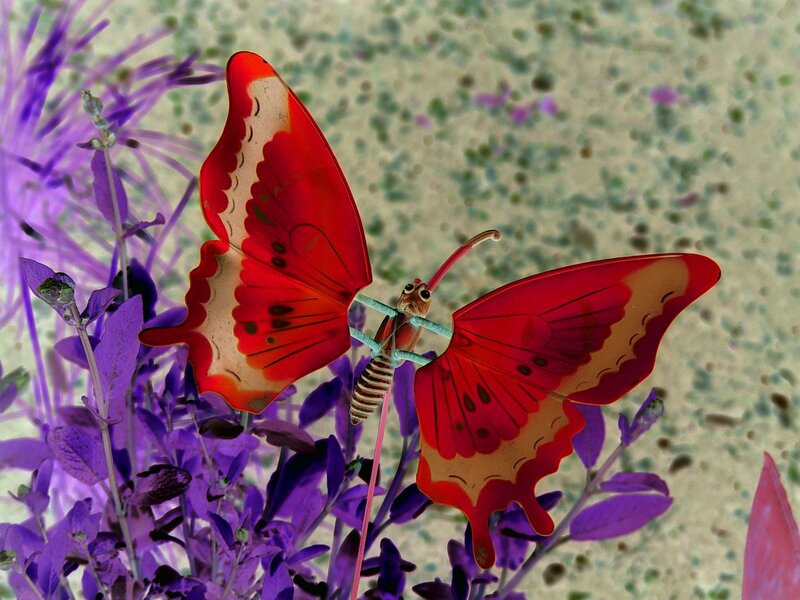 Red Butterfly Toy — Calm