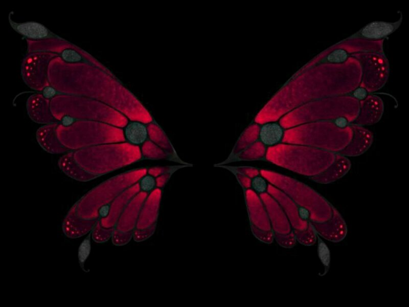 Red Butterfly Wings