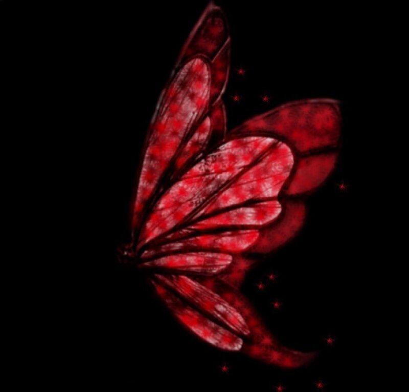 Red butterfly with stars