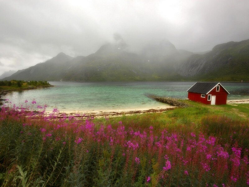 Red cabin by a fjord