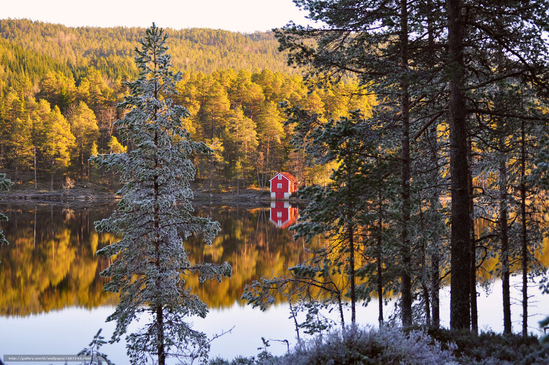 Red Cabin by a Frosted Lake