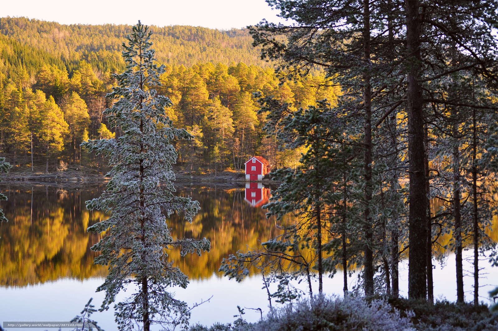 Red Cabin by a Frosted Lake