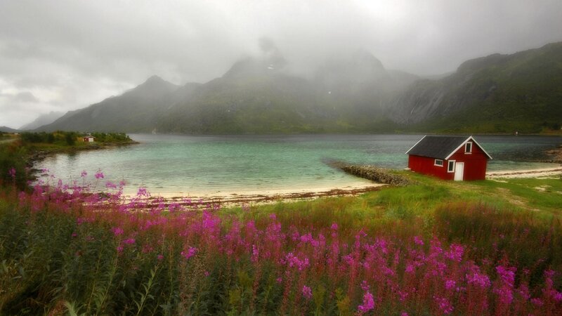 Red Cabin by Fjord — Green, Serene, Summer, Photograph