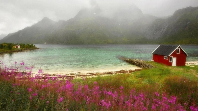 Red Cabin by Fjord — Green, Serene