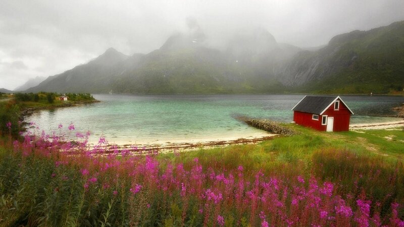 Red Cabin by Fjord — Serene