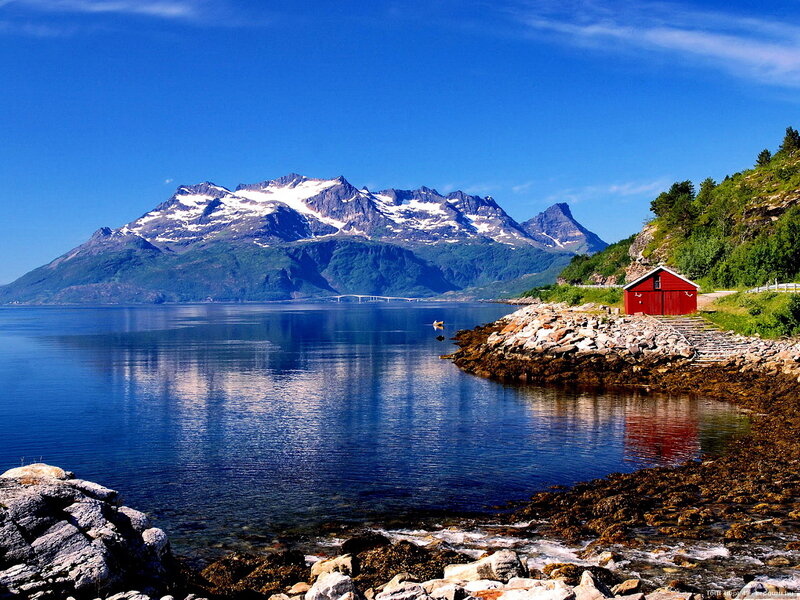 Red Cabin by Fjord