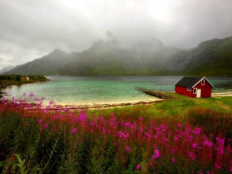 Red cabin by fjord with flowers