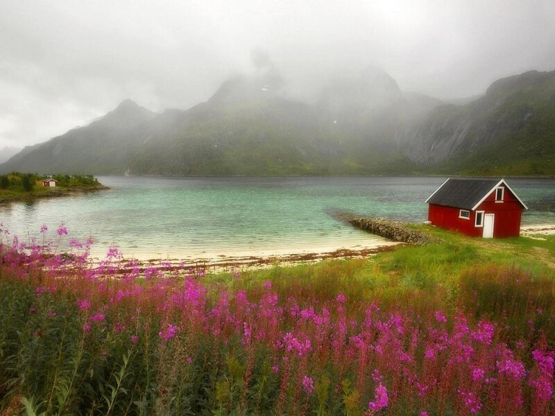 Red cabin by fjord with flowers
