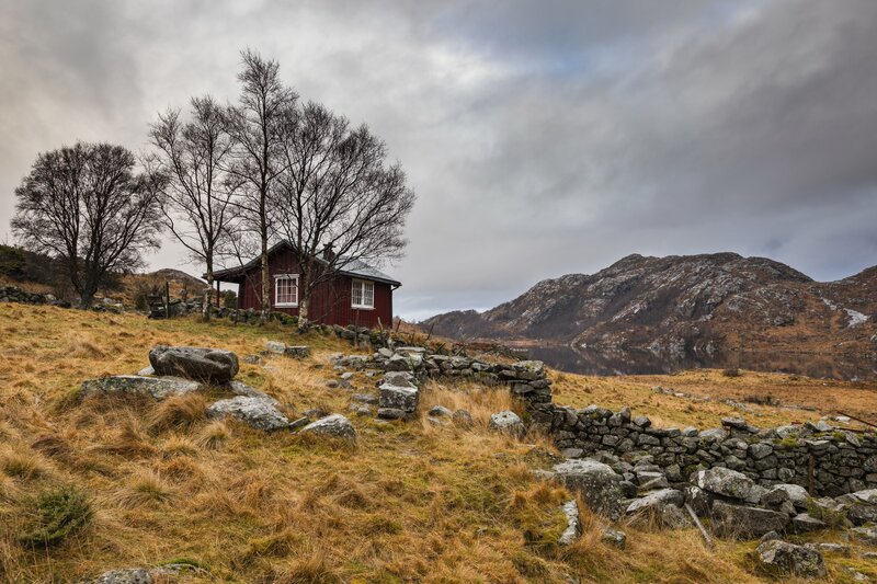 Red Cabin by Lake — Brown, Dramatic
