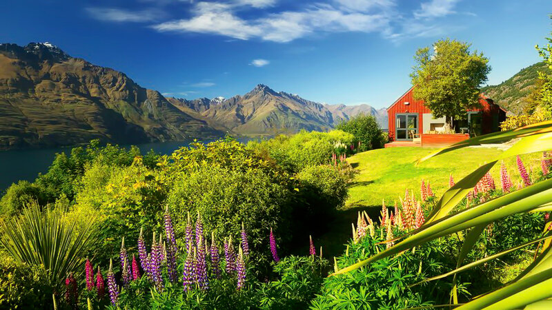 Red Cabin by Lake — Green, Serene, Afternoon, Photograph
