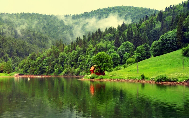 Red Cabin by Lake — Green, Serene, Morning