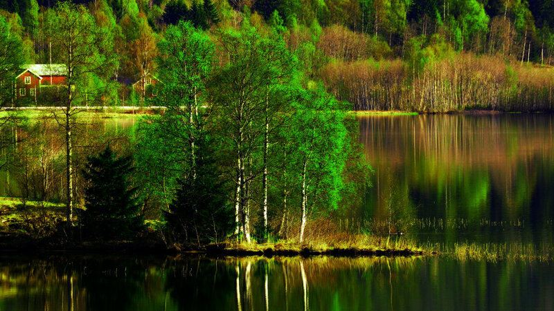 Red Cabin by Lake — Green, Serene, Spring