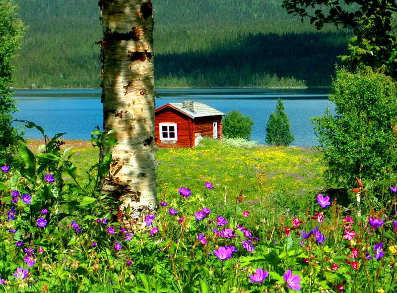 Red Cabin by Lake — Green, Serene, Summer