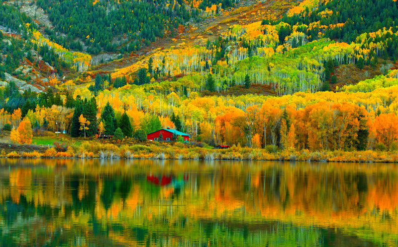 Red Cabin by Lake — Orange