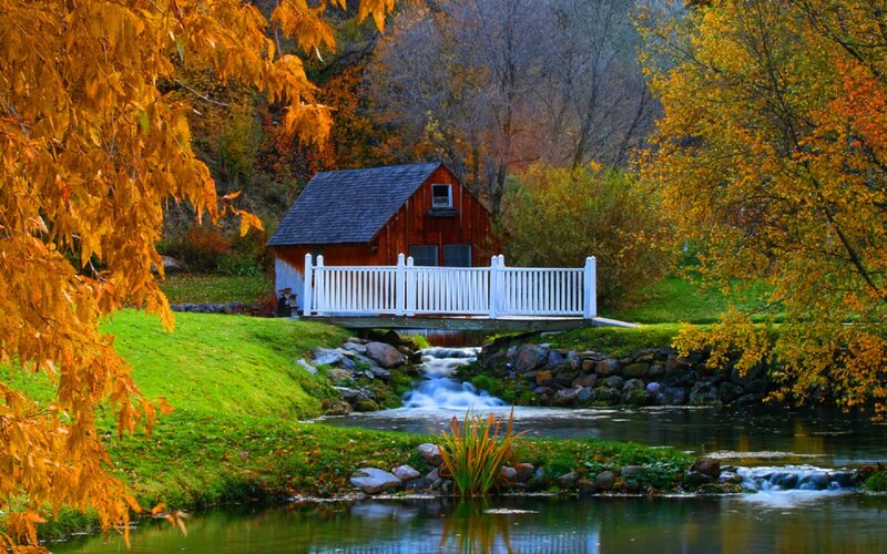 Red Cabin by Stream — Green