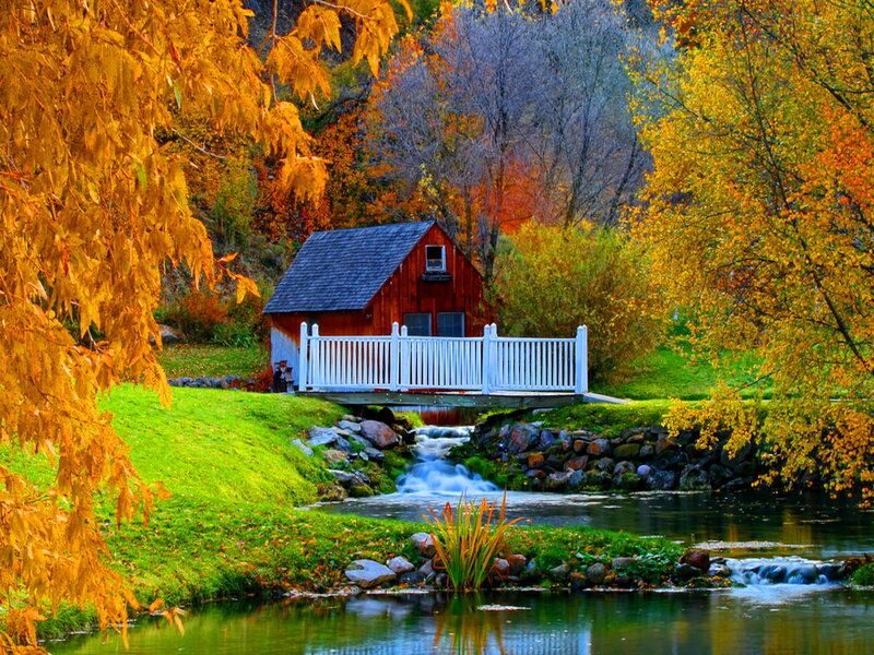 Red Cabin by Stream