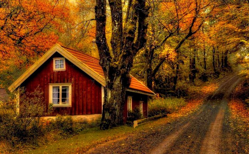 Red Cabin in Autumn Forest