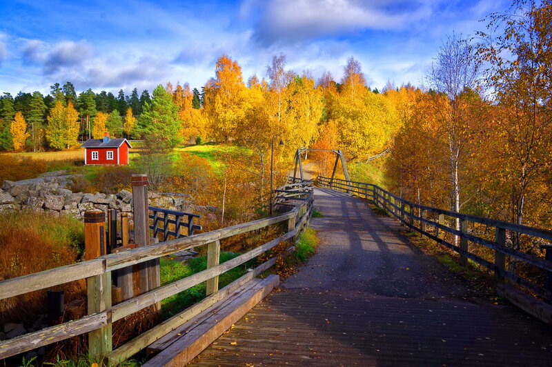 Red Cabin in Autumn — Yellow