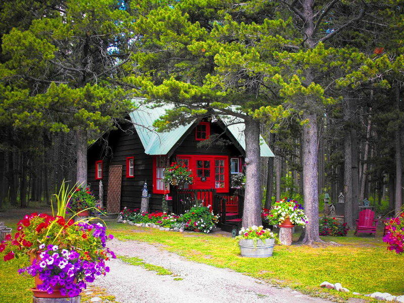 Red Cabin in Forest — Green, Serene
