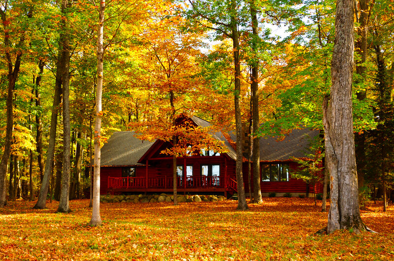 Red Cabin in Forest — Orange