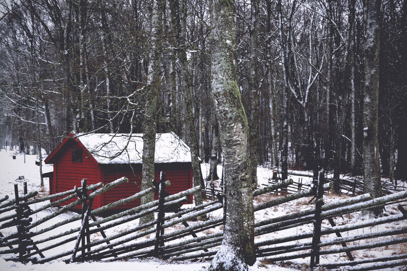 Red Cabin in Forest — Quiet