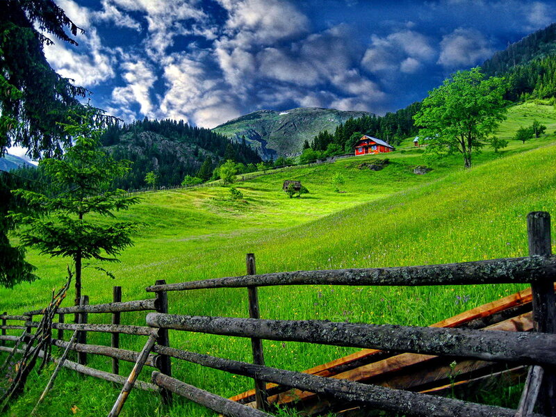 Red Cabin in Green Valley