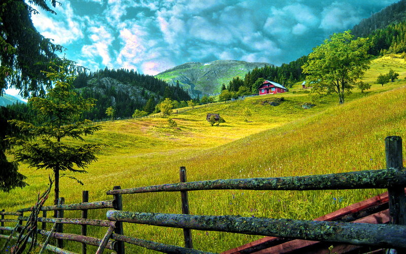 Red Cabin in Mountain Valley — Green