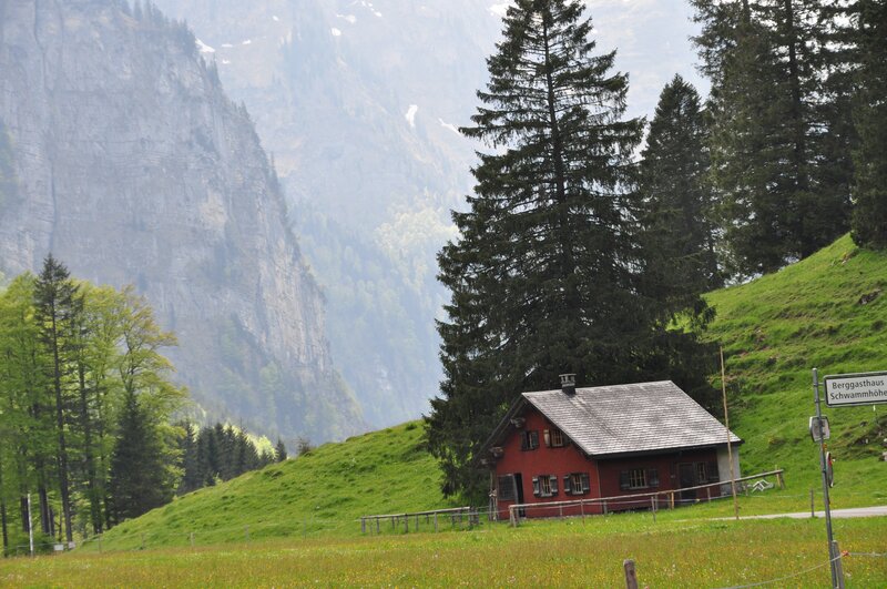 Red Cabin in Mountains — Green, Serene, Spring