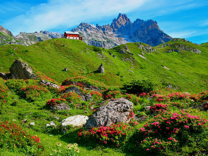 Red Cabin in Mountains — Green, Serene