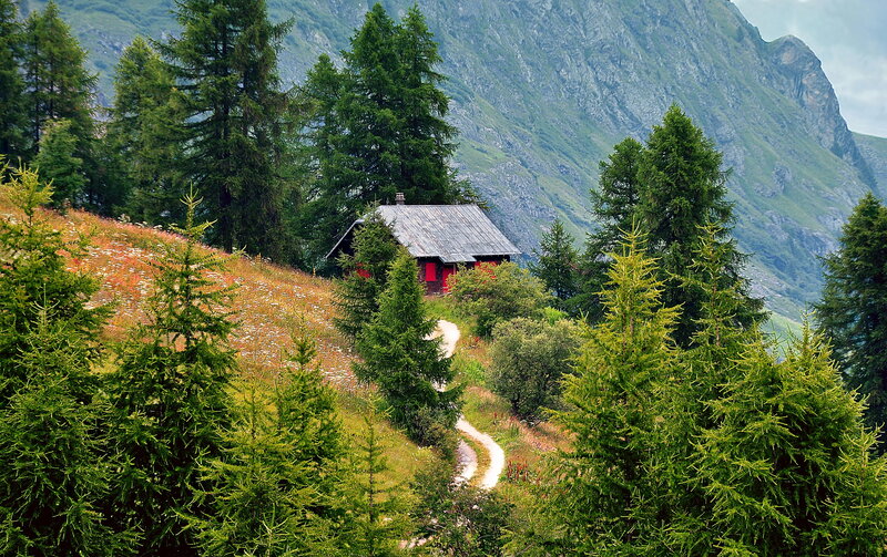 Red Cabin in Mountains — Green