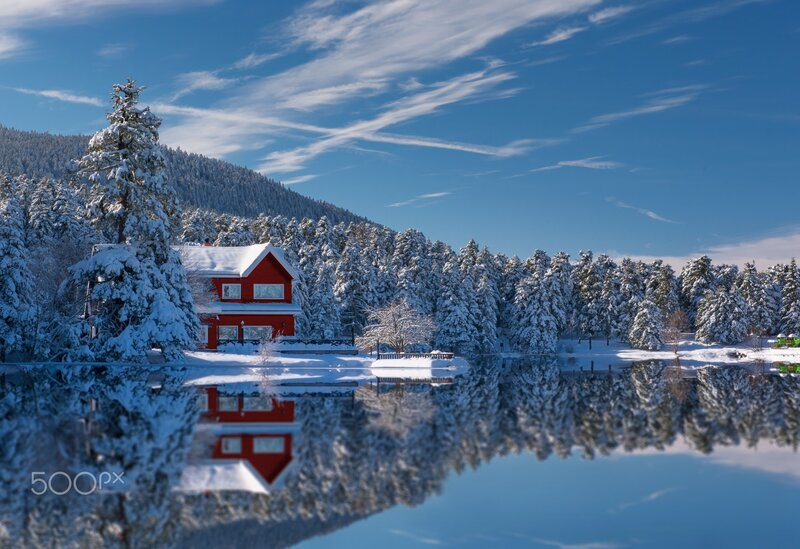 Red Cabin in Snow — Blue, Serene, Winter, Photograph, Snow-covered Trees