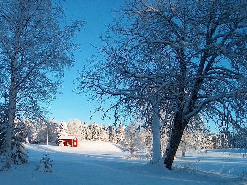 Red Cabin in Snow — Blue