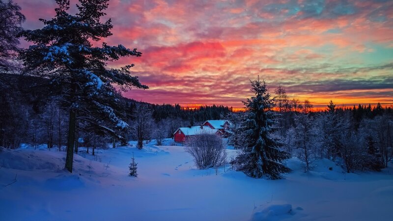 Red Cabin in Snow — Pink, Serene