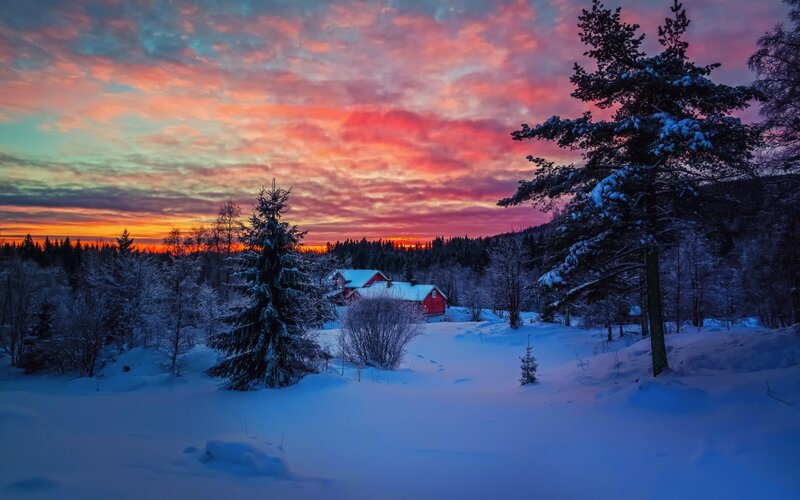 Red Cabin in Snow — Pink