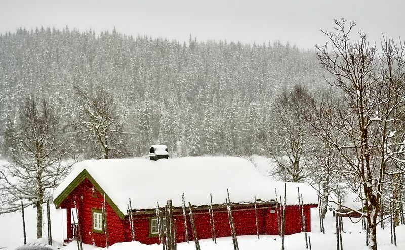 Red Cabin in Snow — Serene, Winter, Photograph, Trees, Forest