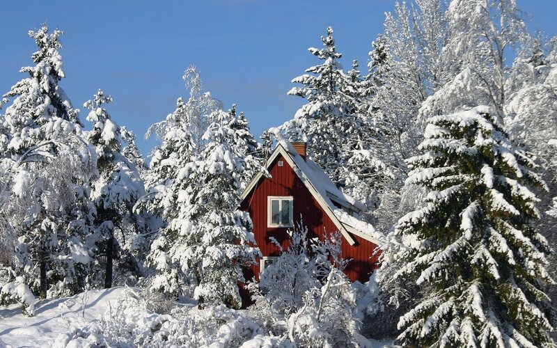 Red Cabin in Snow — Serene, Winter, Photograph, Trees, Sky