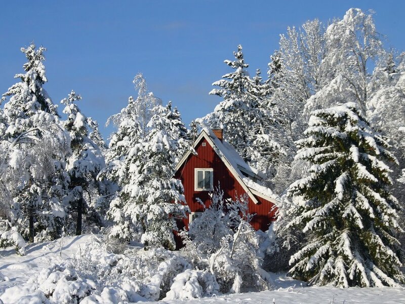 Red Cabin in Snow — Serene, Winter, Photograph, Trees, Sky, Window