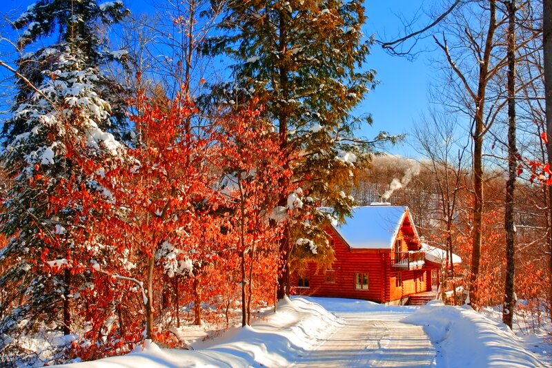 Red Cabin in Snow — Serene, Winter, Photograph, Trees, Smoke, Path