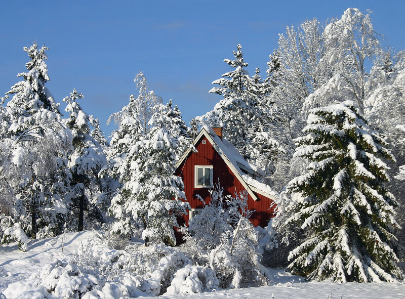 Red Cabin in Snow — Serene, Winter