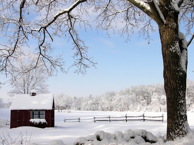 Red Cabin in Snow — White, Serene