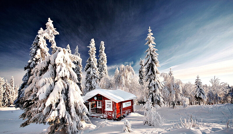 Red Cabin in Snow — White, Serene, Winter, Photograph, Snow-covered Trees, Forest