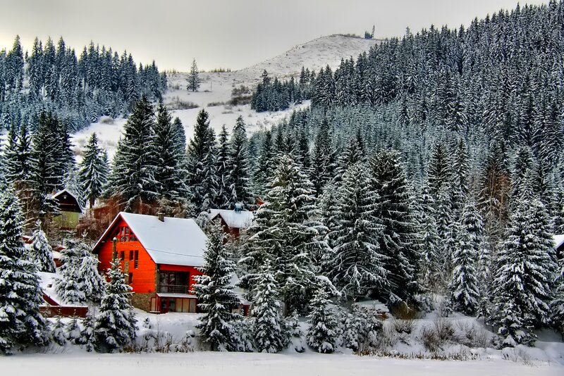 Red Cabin in Snow — White, Serene, Winter, Photograph, Snow-covered Trees, Mountain