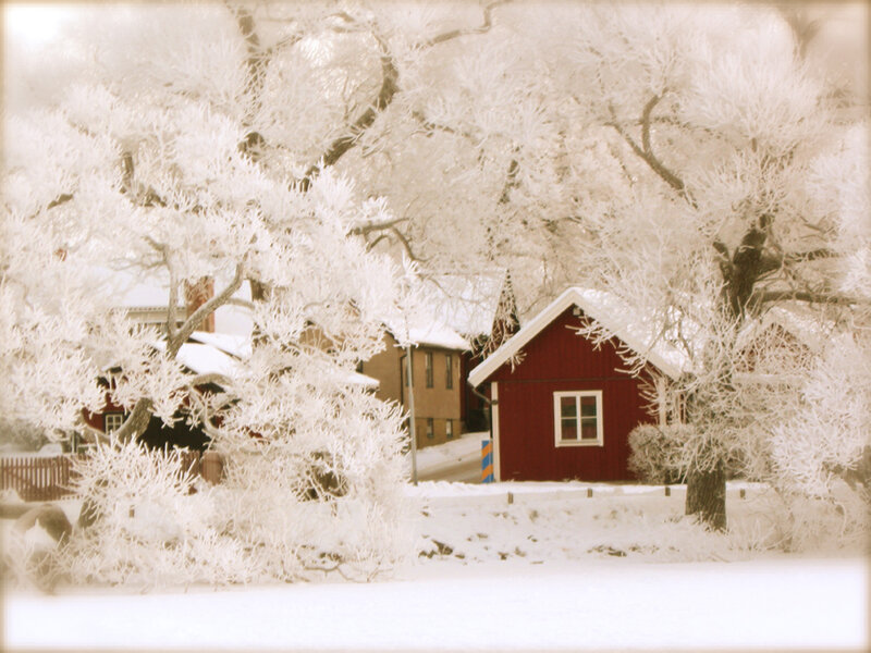 Red Cabin in Snow — White, Serene, Winter, Photograph, Trees, Buildings