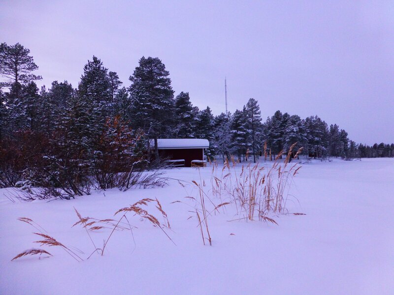Red Cabin in Snow — White, Serene, Winter, Photograph, Trees, Grass
