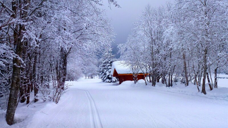 Red Cabin in Snow — White, Serene, Winter, Photograph, Trees, Path