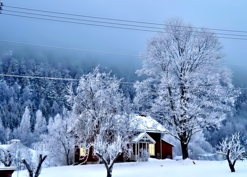 Red Cabin in Snow — White, Serene, Winter, Photograph, Trees, Power Lines